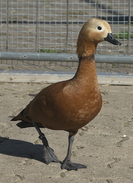 动实例