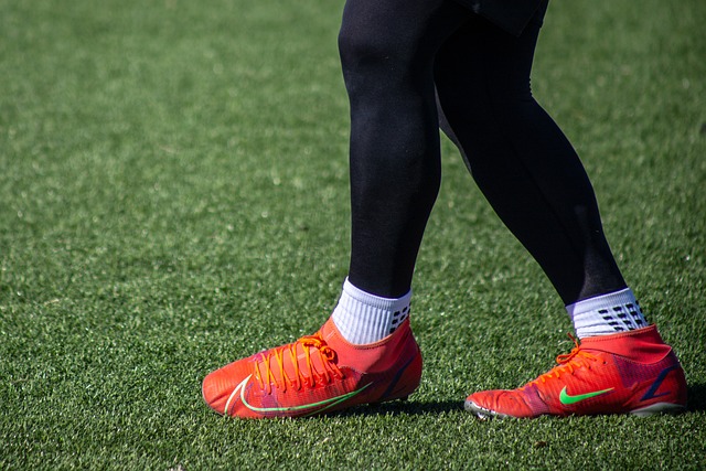 翱翔蓝天 翱翔蓝天