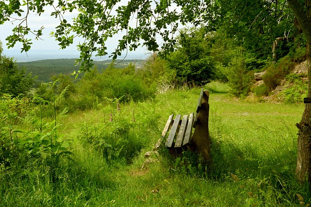 法國球員在 法國球員在