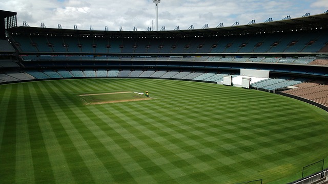 这对黄金组 这对黄金组