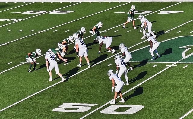 力的比赛 力的比赛