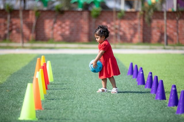 球队效仿的 球队效仿的